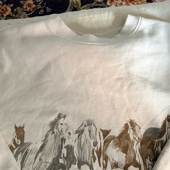 Abercrombie & Fitch Horses Graphic Oversized Sunday Crew - Picture 3 of 5